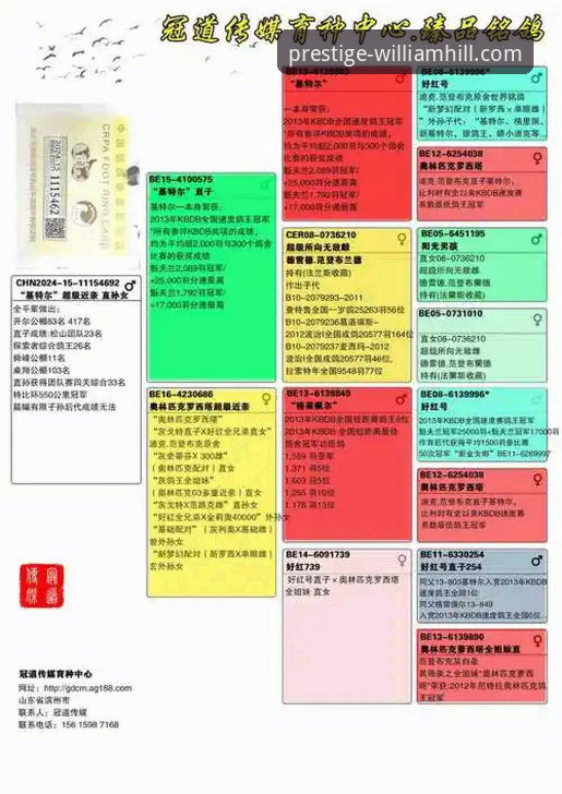 威廉希尔常见问题全面解析：注册、投注、客服与App下载深度分析